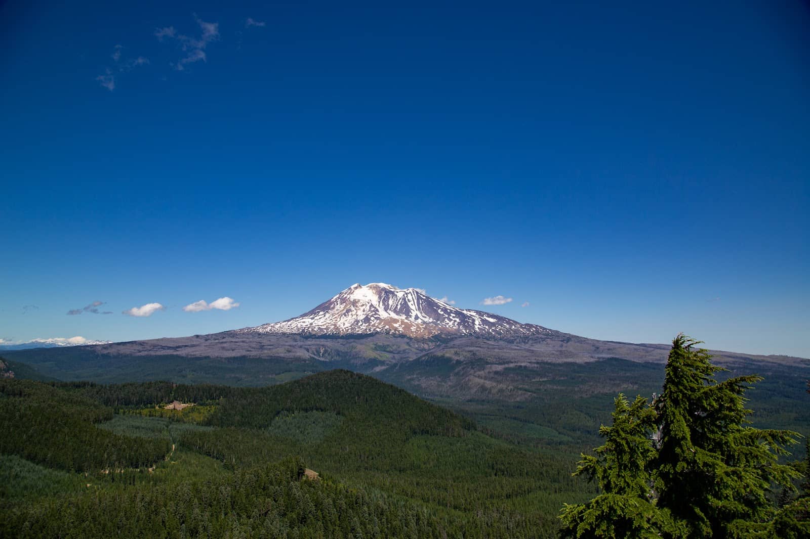 Fire Lookout Site
