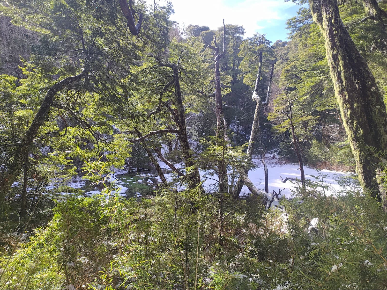 Laguna Captrén - Image 1