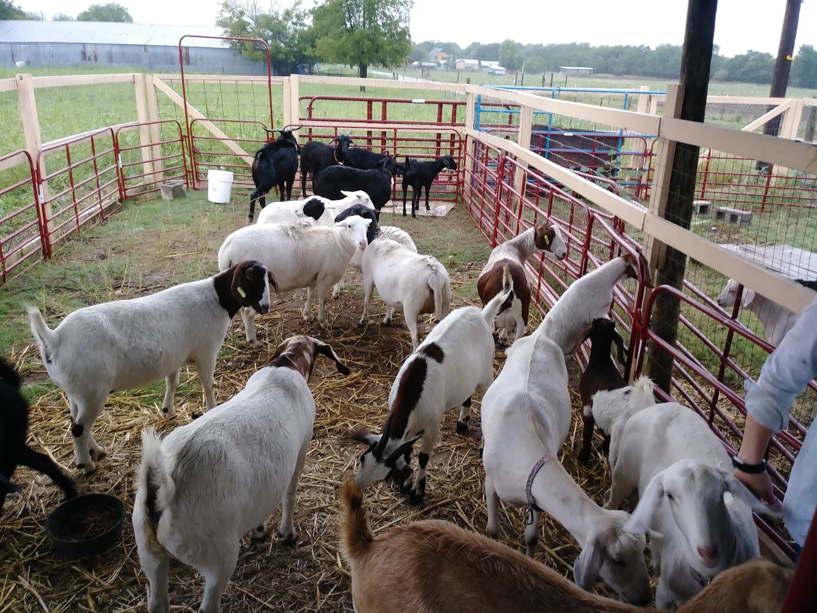 World Hunger Relief Farm - Image 1