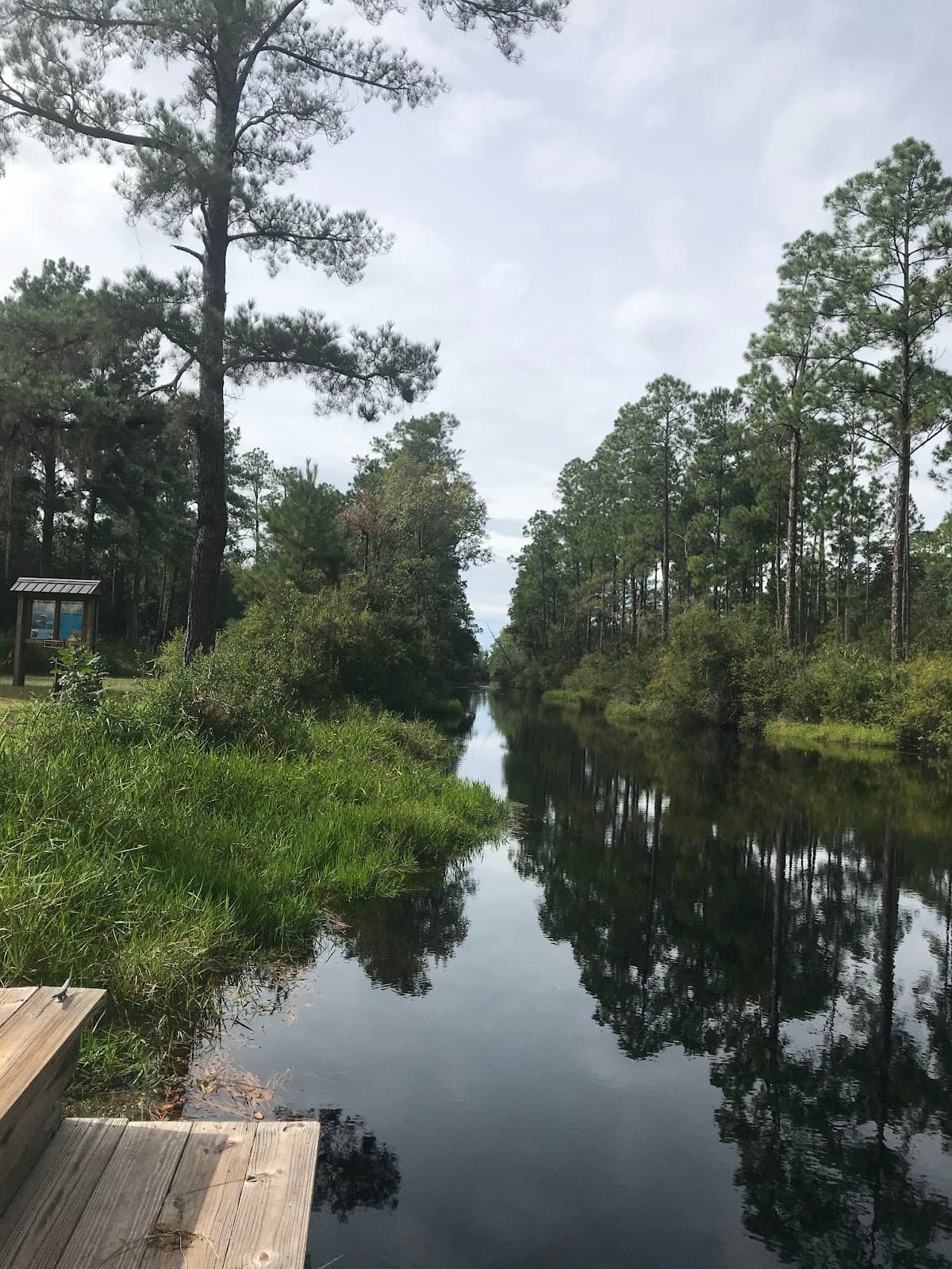 Kingfisher Landing (Okefenokee NWR) - Image 1
