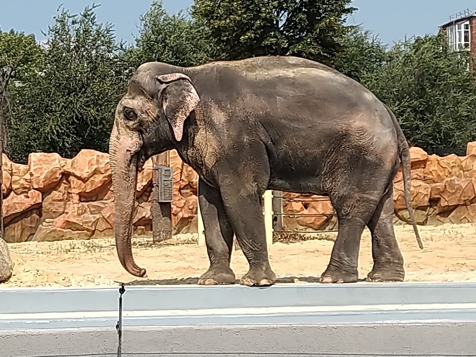 Kharkiv Zoo - Image 1