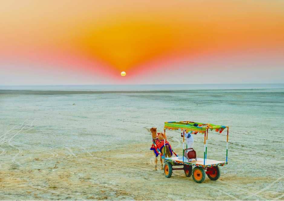 Rann Utsav