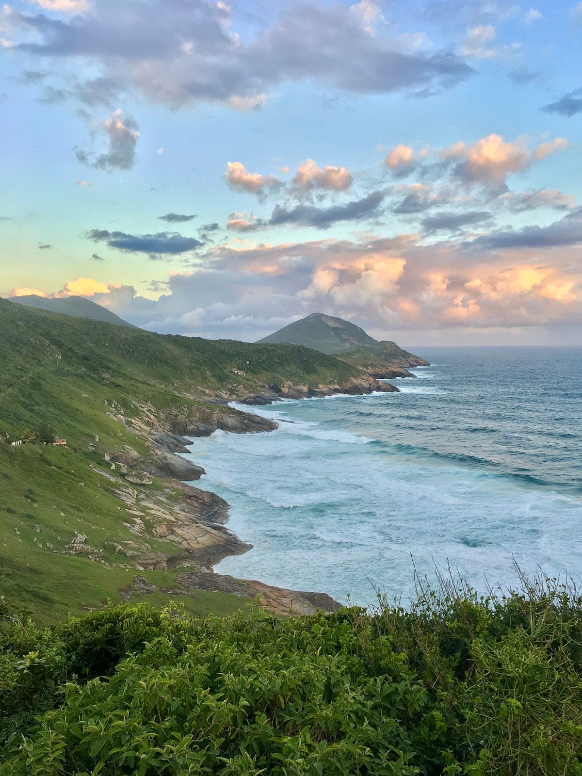 Trilha da Praia Brava - Image 1