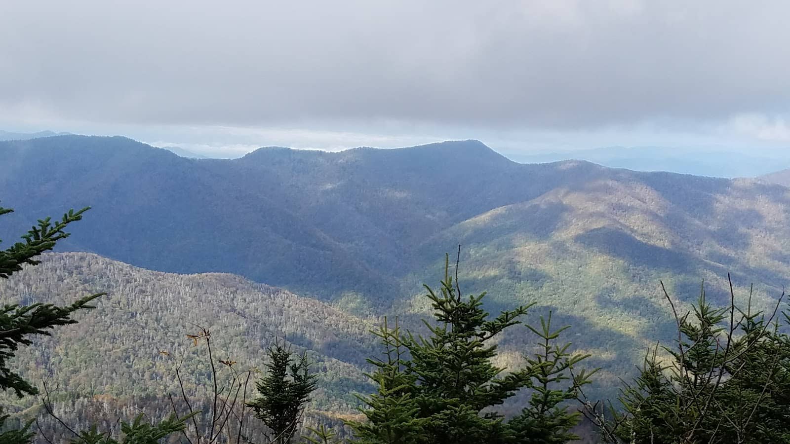 Proximity to Mt. Mitchell