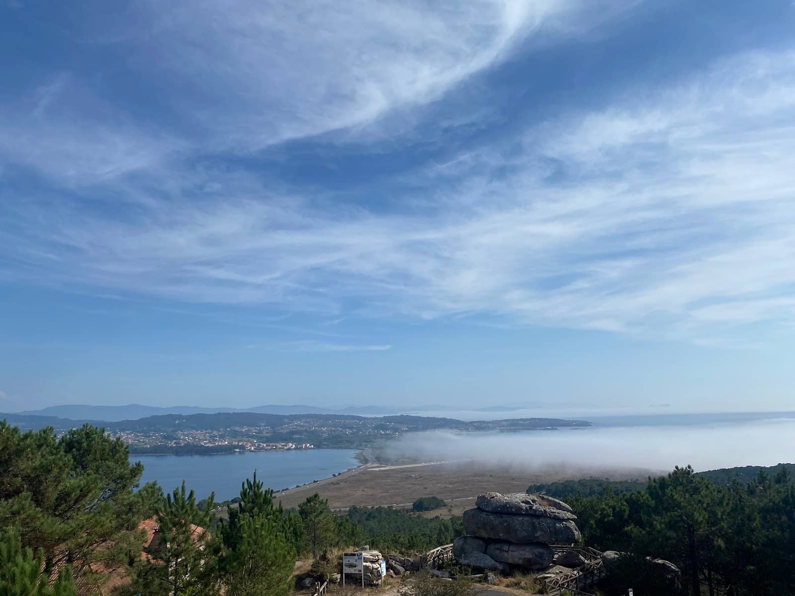 Cetacean Bone Specimens