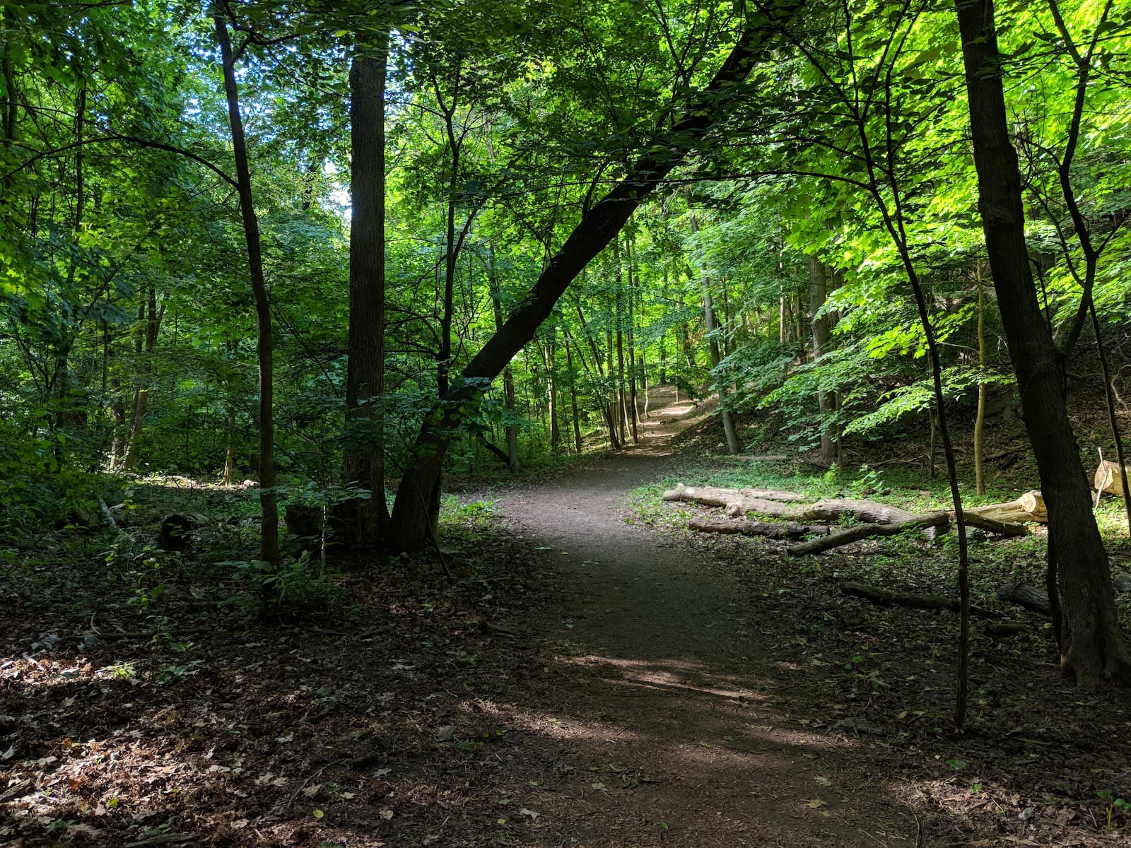 David Balfour Park Trail - Image 1