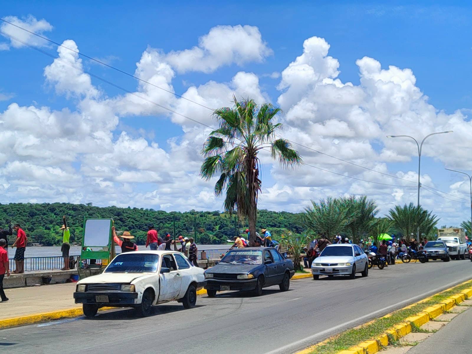 Street Food Delights