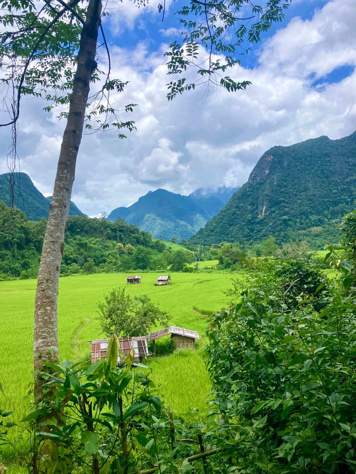 Ban Na Mom Village - Image 1