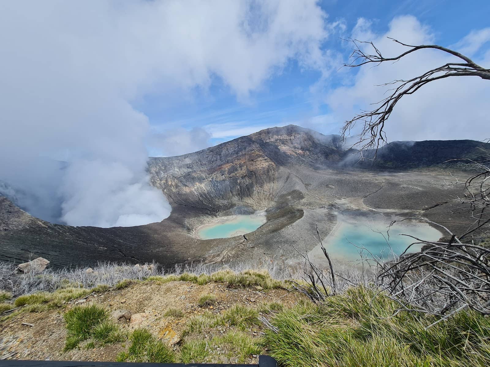 Birdwatching Opportunities