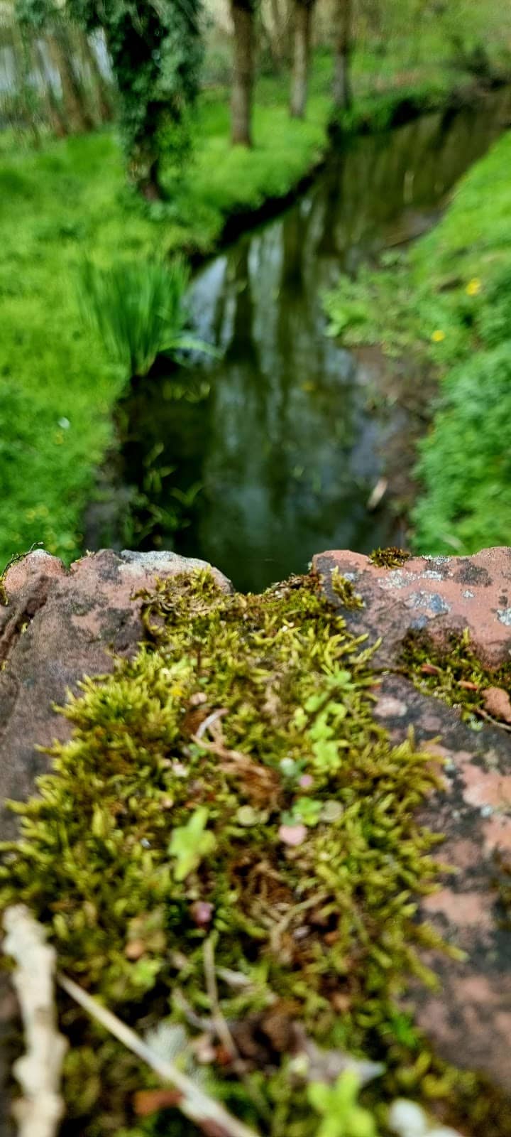 Vertical photo