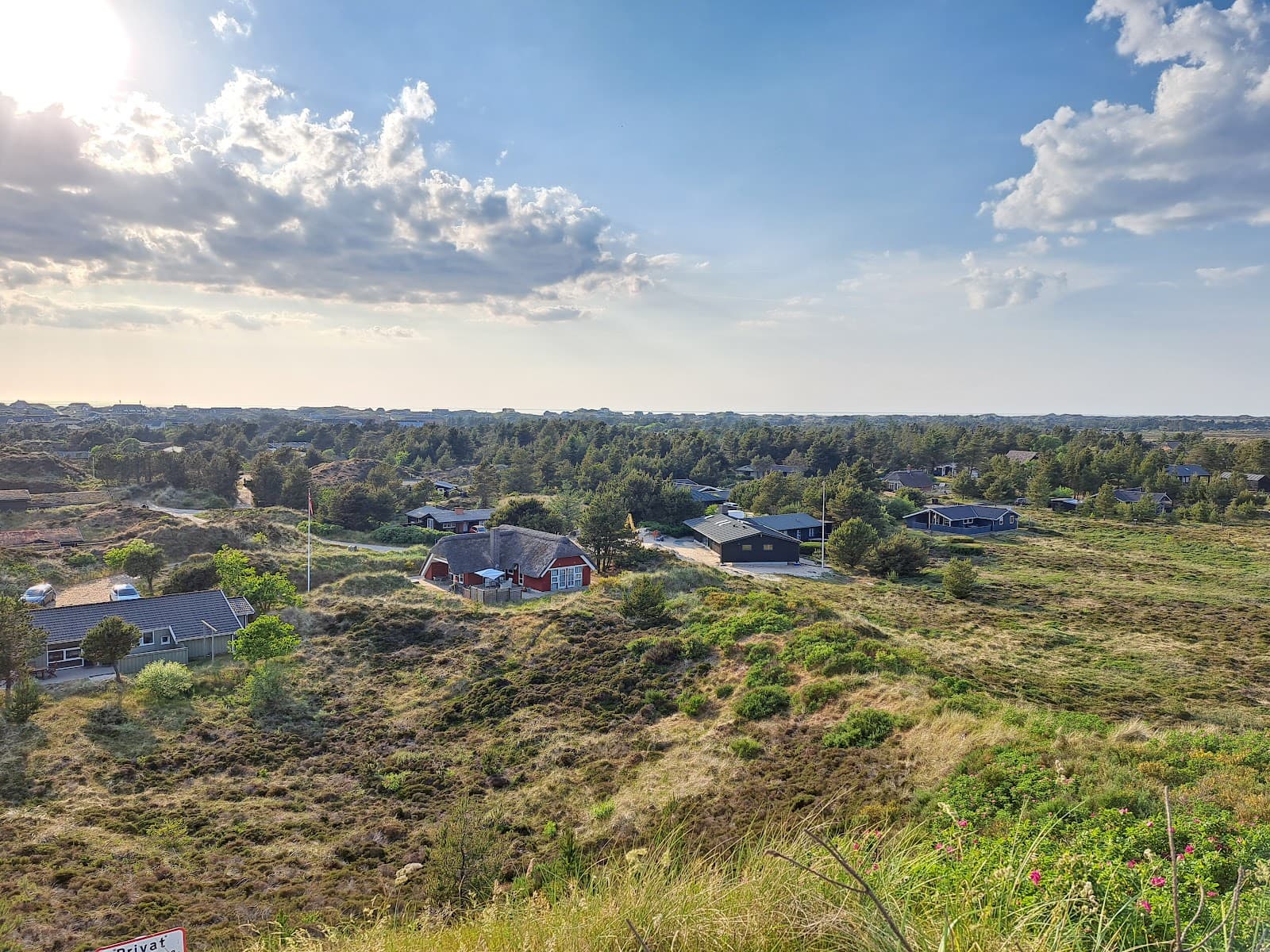 Blåbjerg Plantation - Image 1