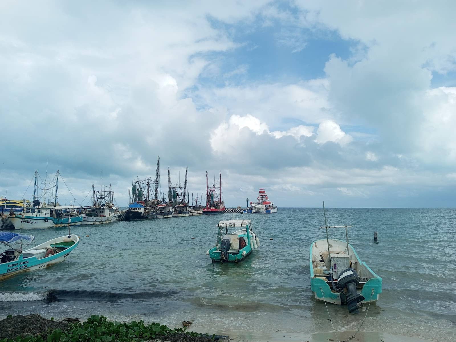 Marbella Fish Market