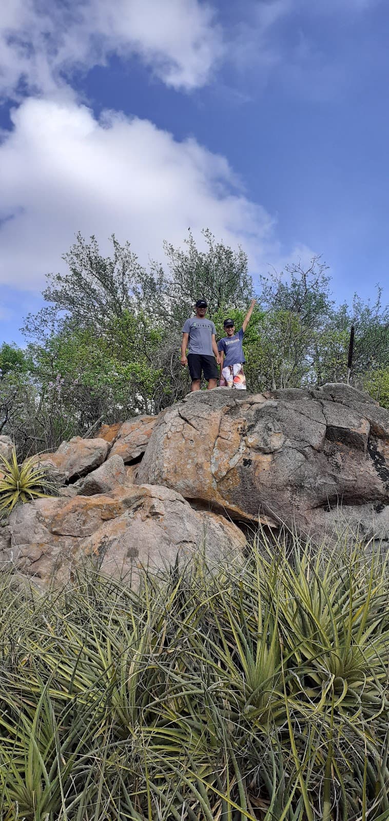 Dirceu Arcoverde Teresina - Image 1