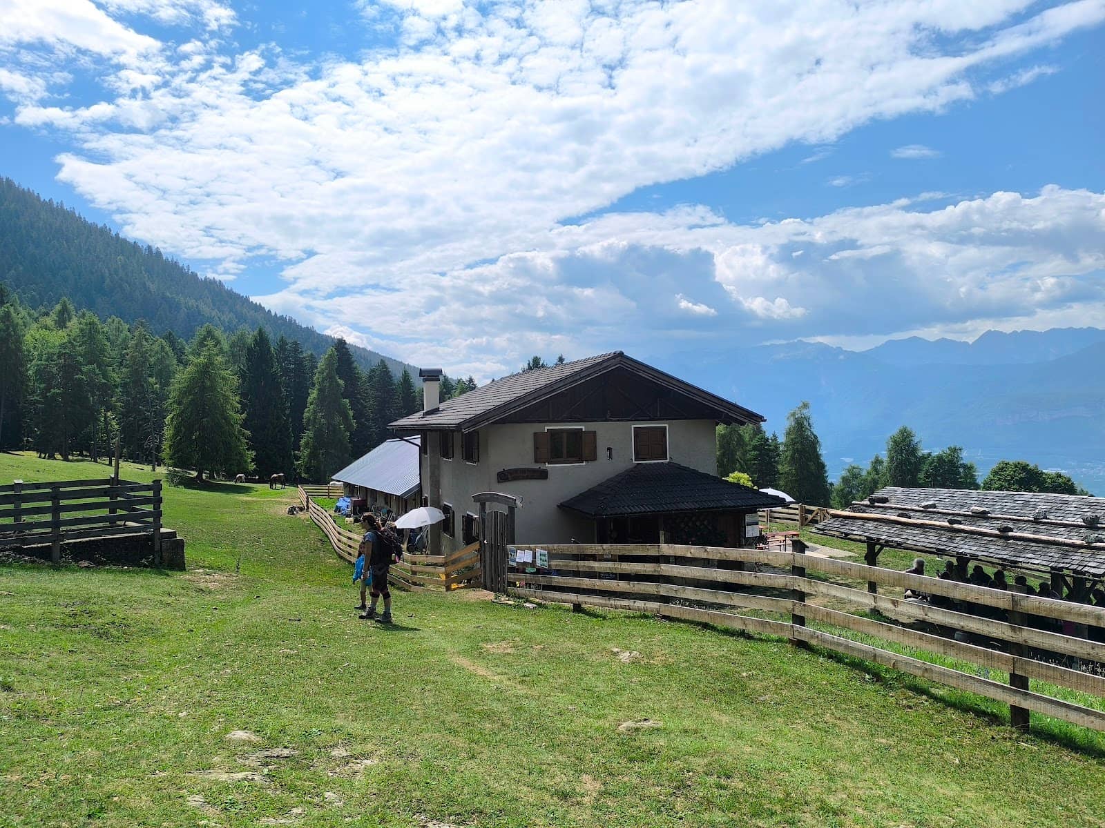 Apricot Grappa Tasting