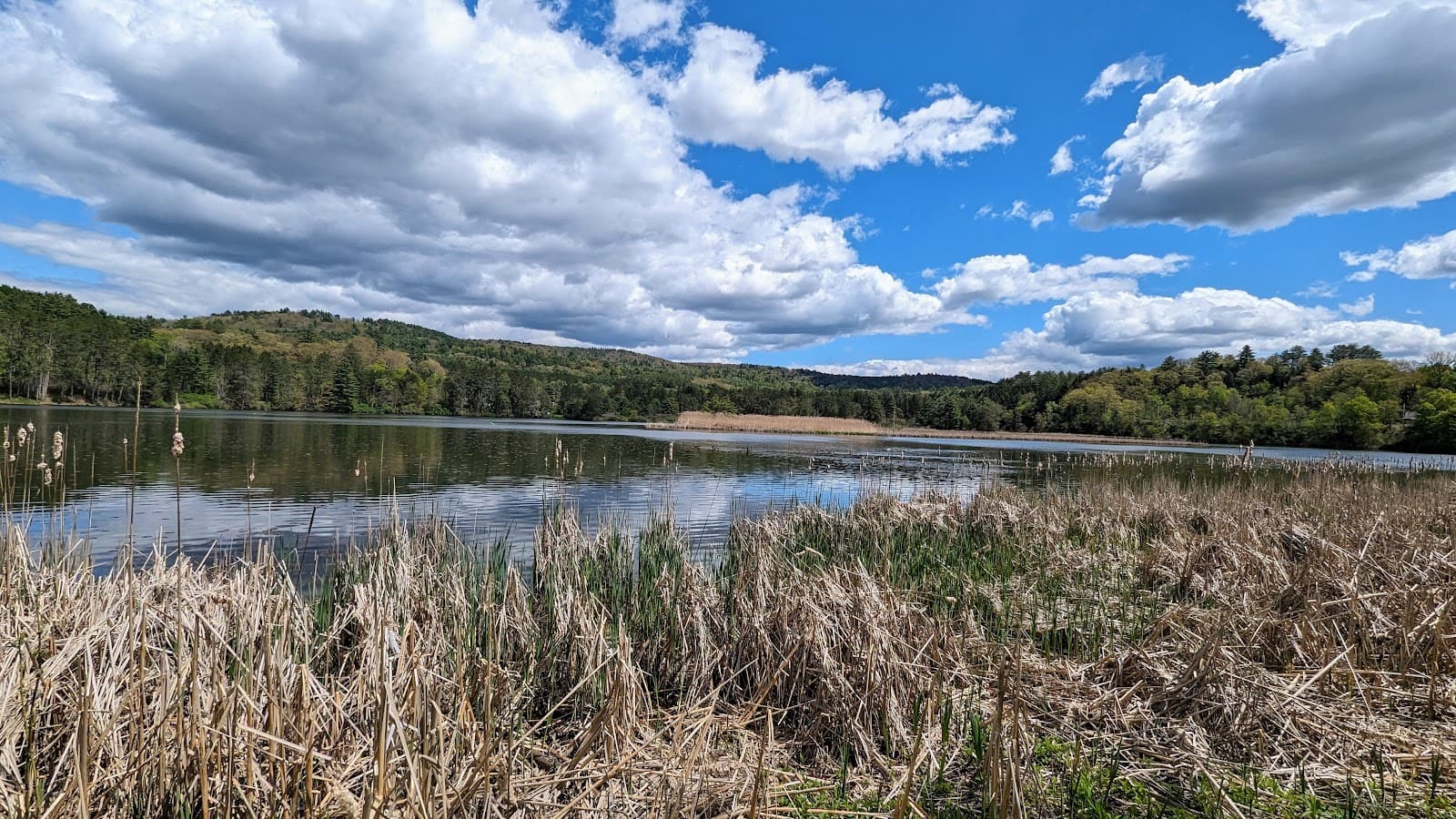 Dewey's Pond Nature Area - Image 1