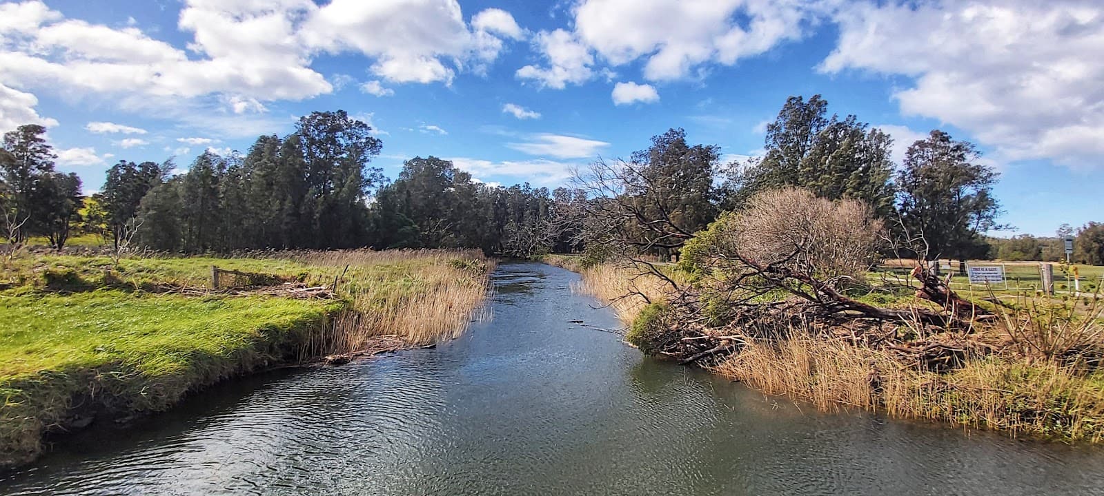 Spring Creek Wetland - Image 1