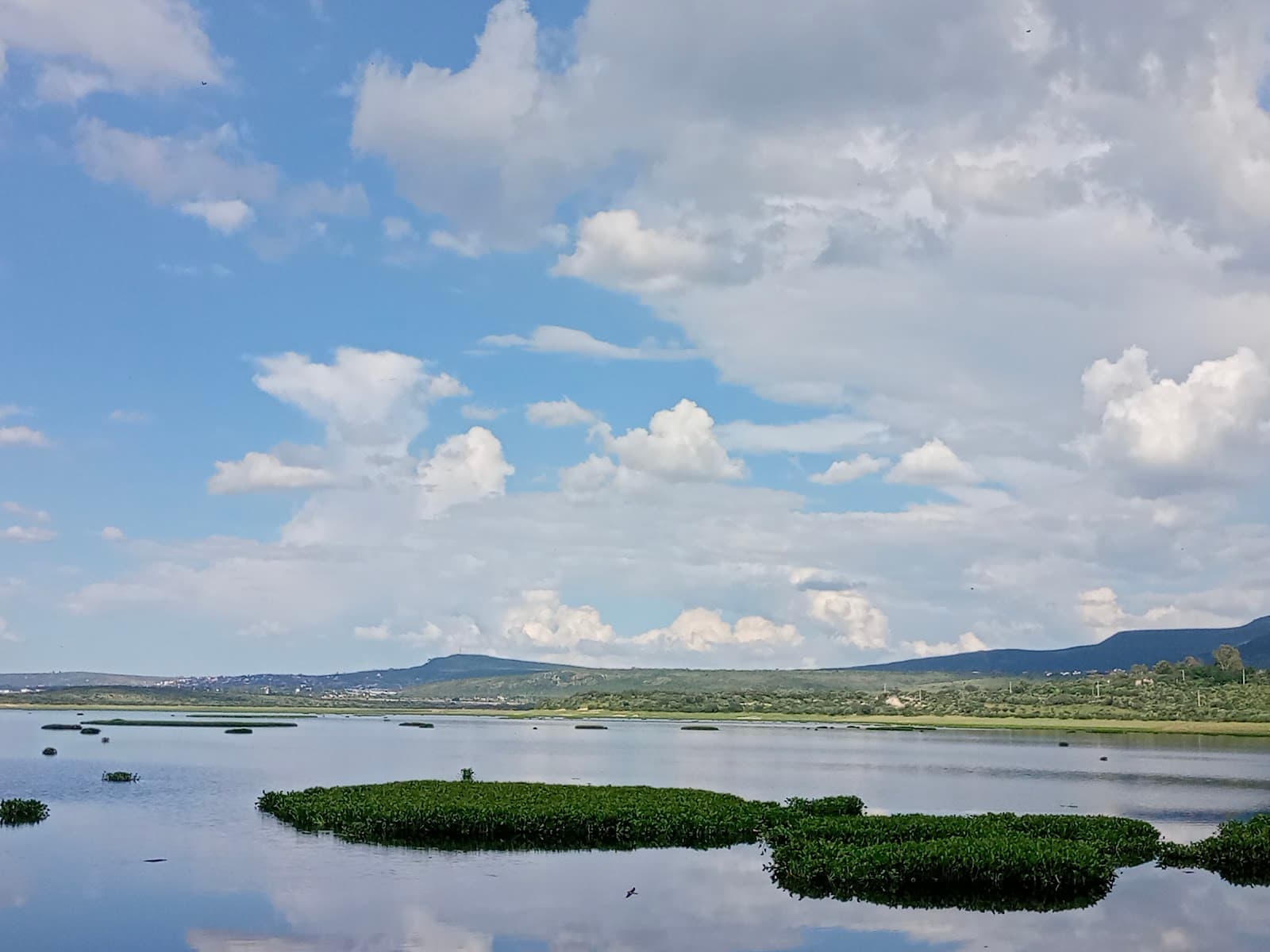 Presa Ignacio Allende - Image 1