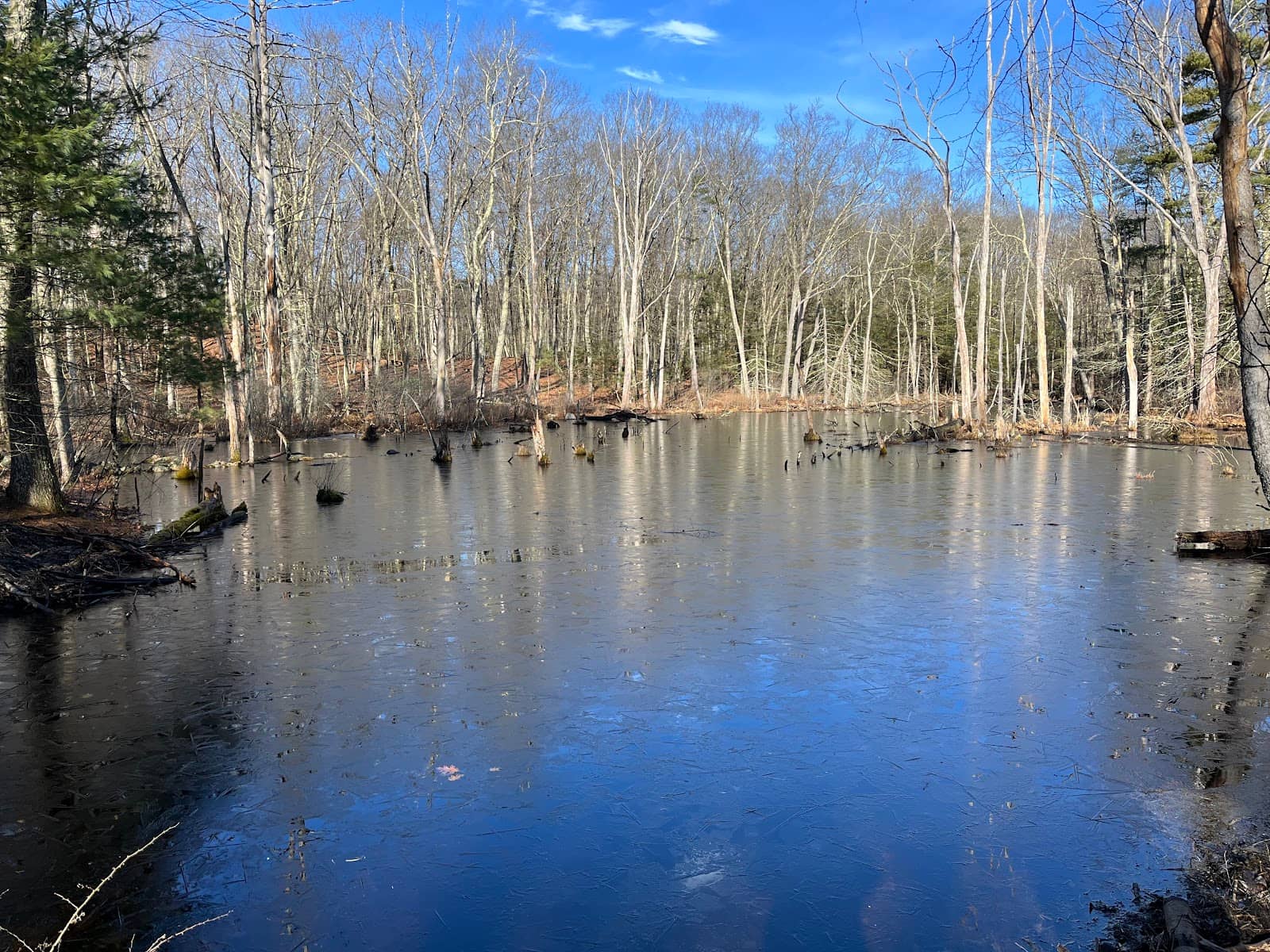 Third hero image