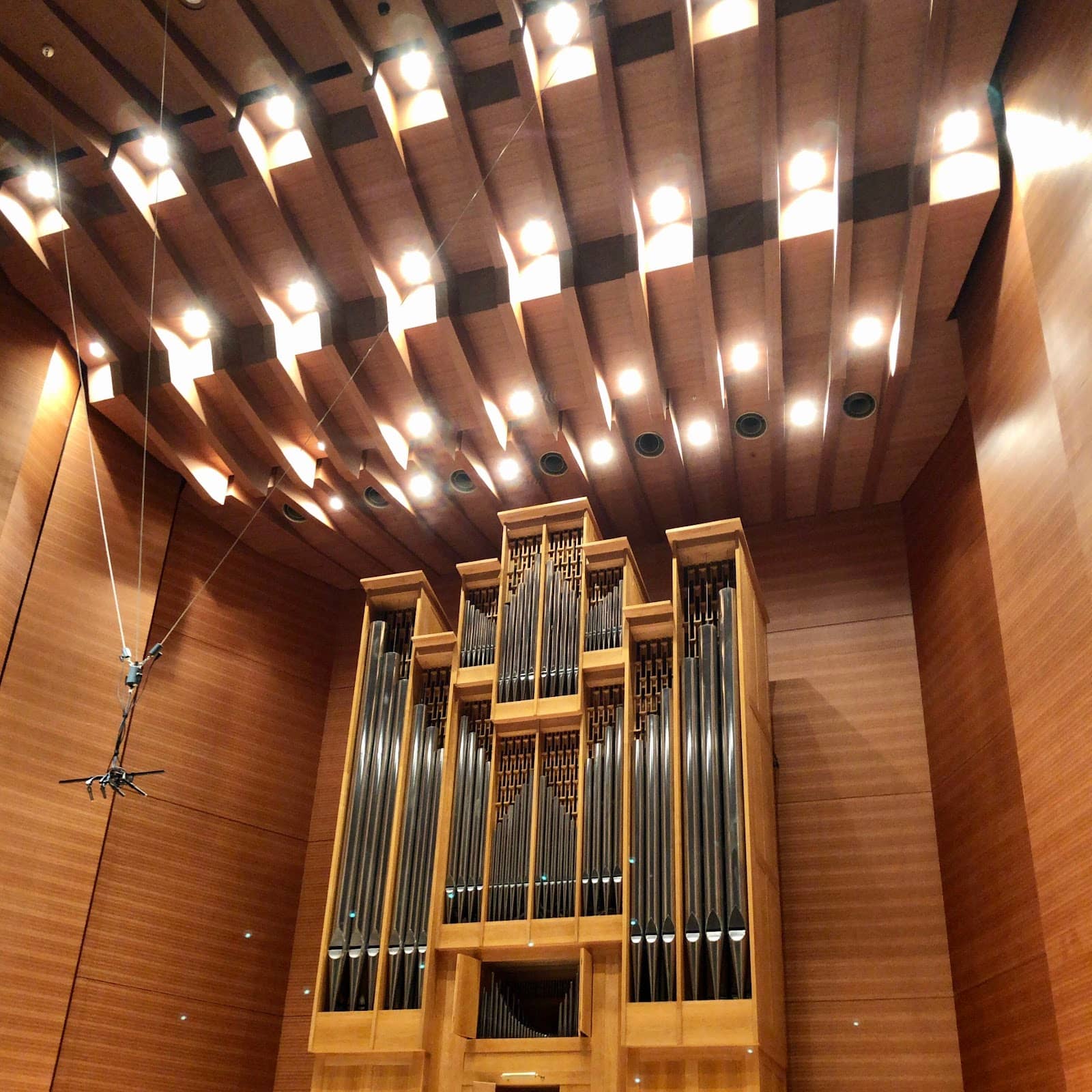 Kid-Friendly Facilities