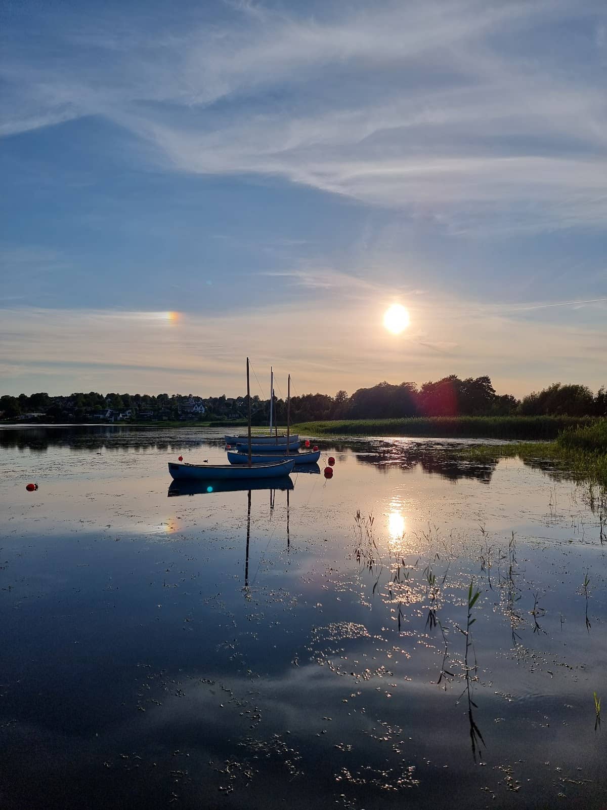Boat Trip or Swim