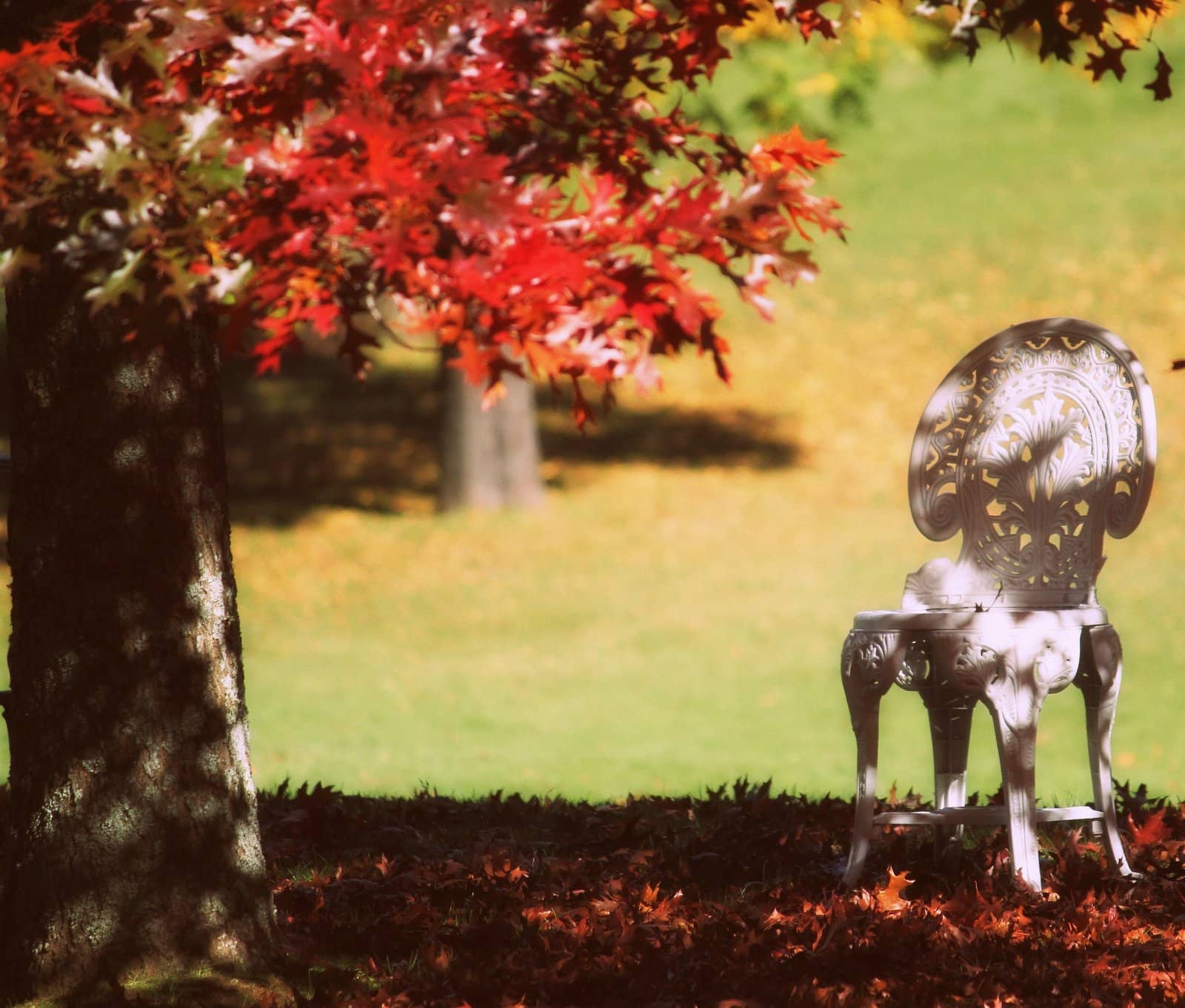 Whimsical Playground