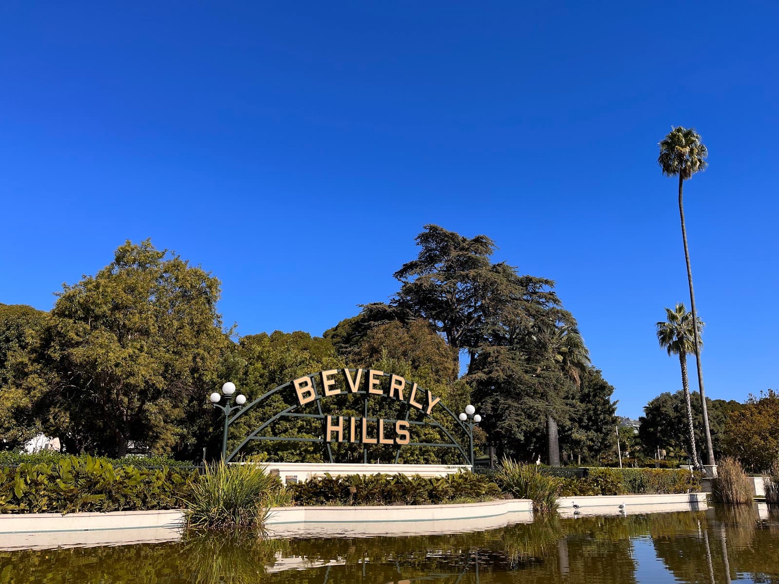 Beverly Hills Sign and Lily Pond - Image 1