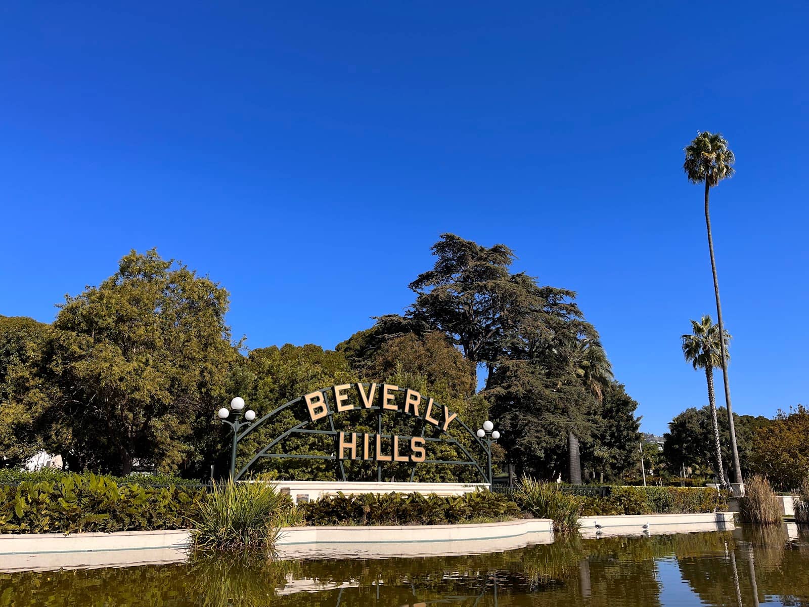 Public Art Installations