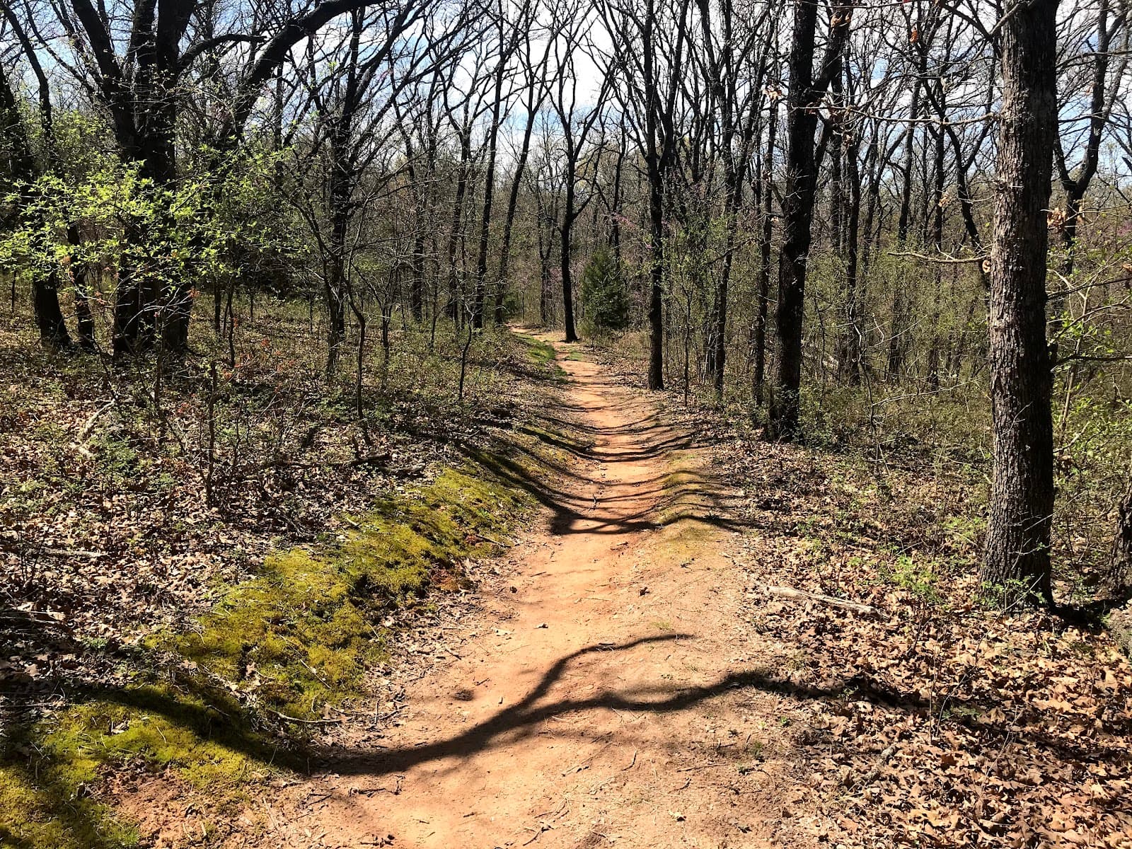 Clear Bay Trails - Image 1