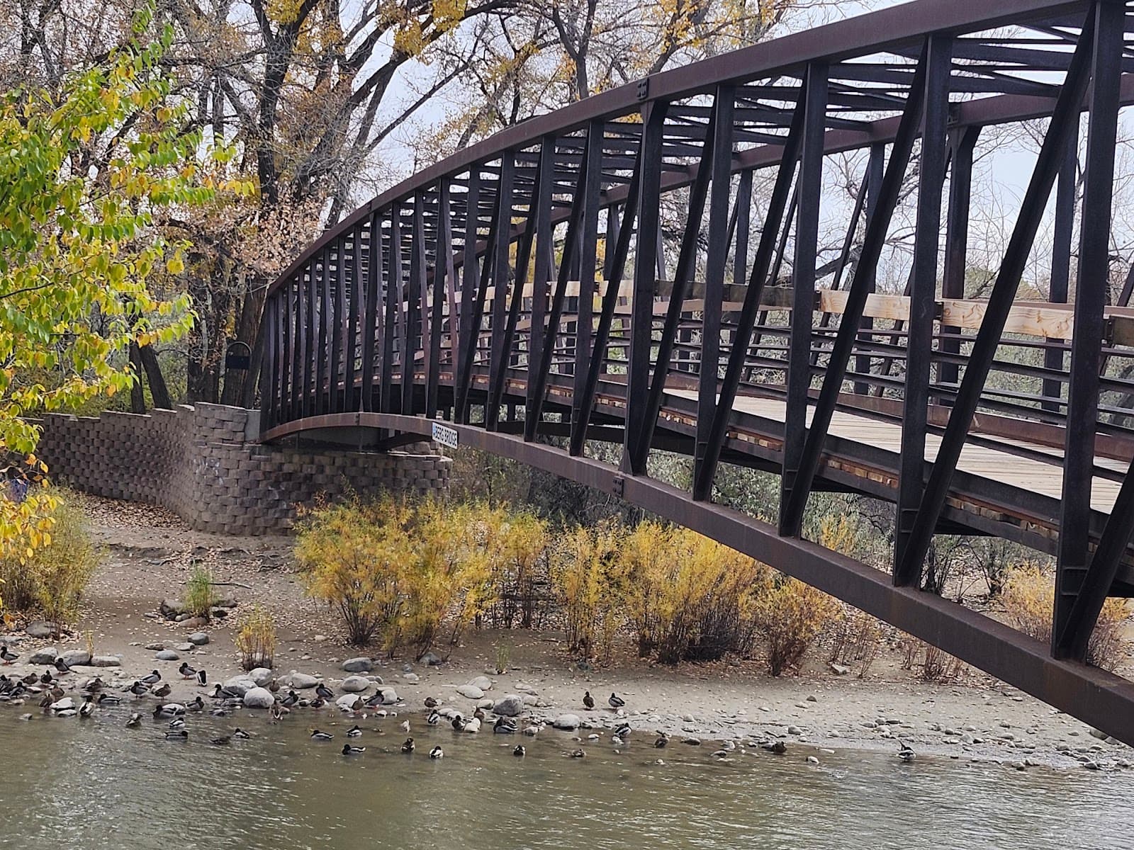 Berg Park Farmington - Image 1