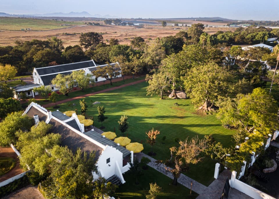 Spier Wine Farm - Image 1