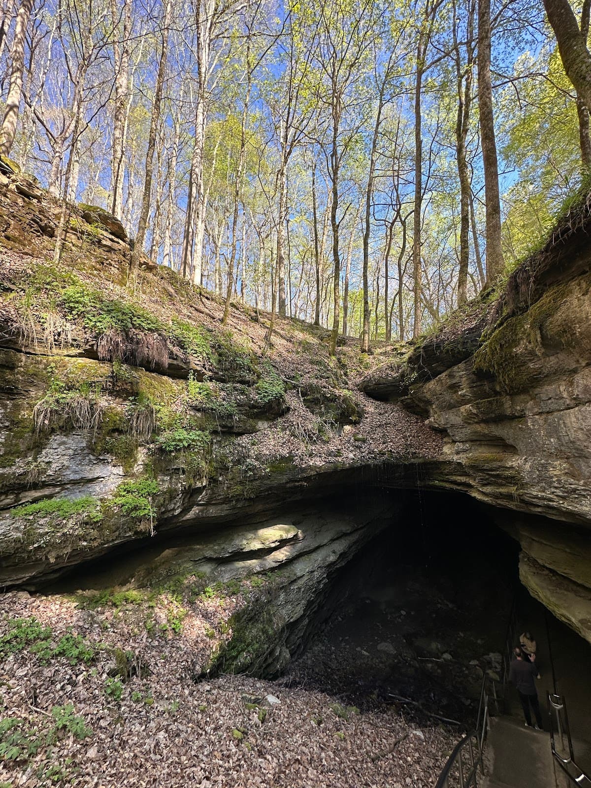 River Styx Spring - Image 1