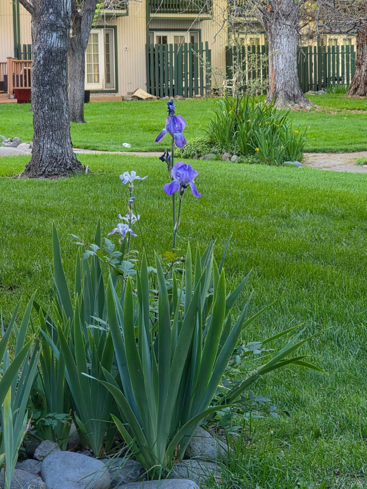 Thunderbird Lodge - Image 1