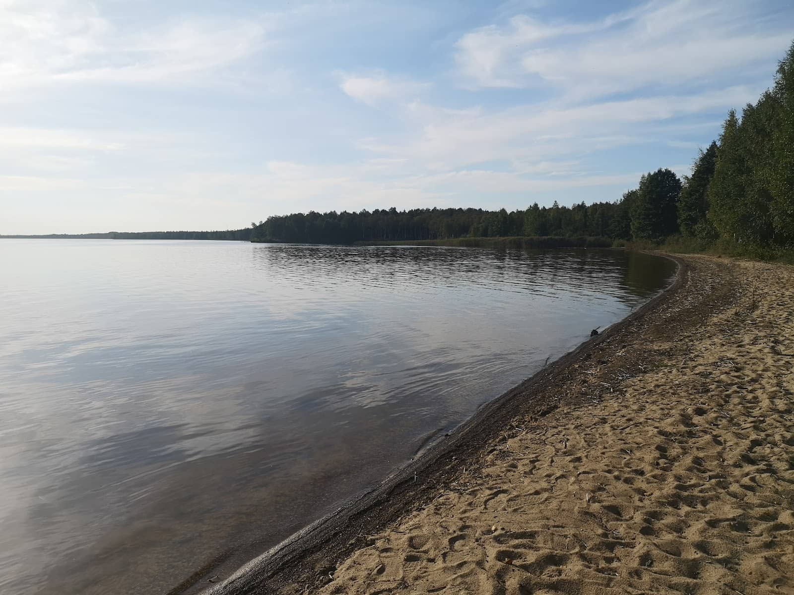 Tranquil Lakeside Walks