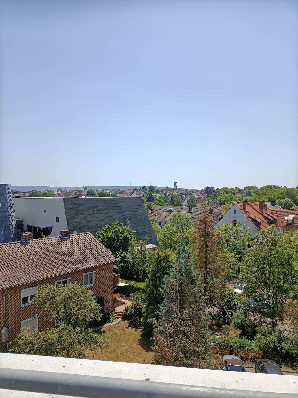 Vertical photo