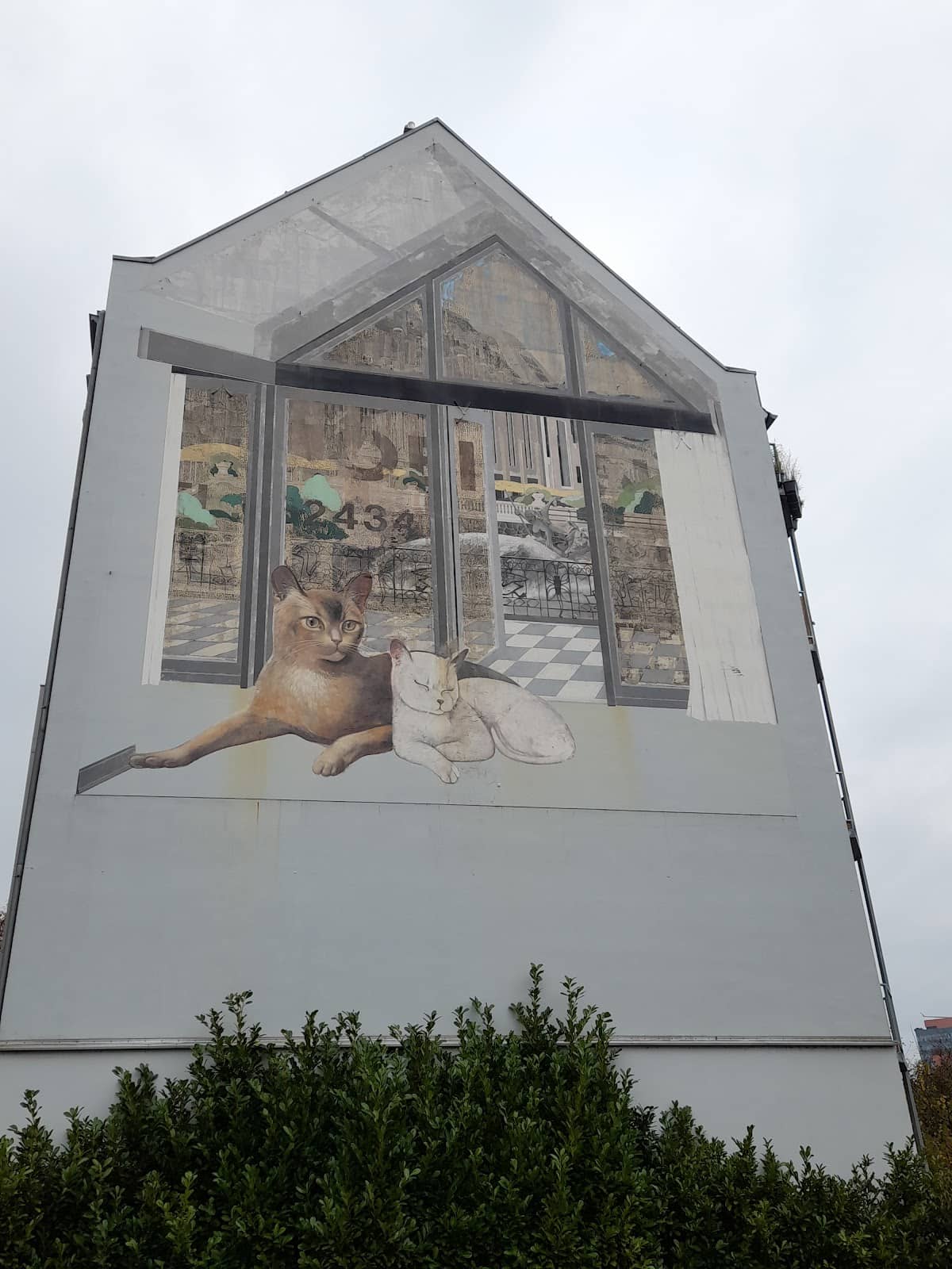 Vertical photo