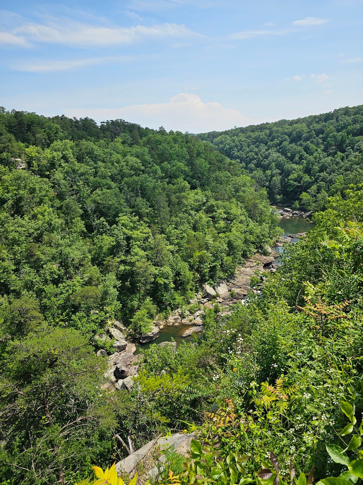 Lynn Overlook - Image 1