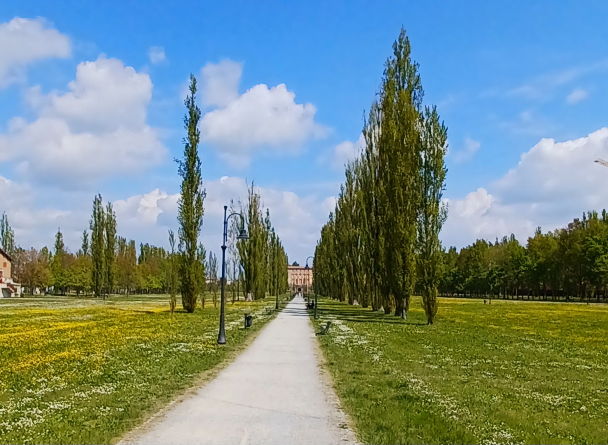 Baroque Gardens