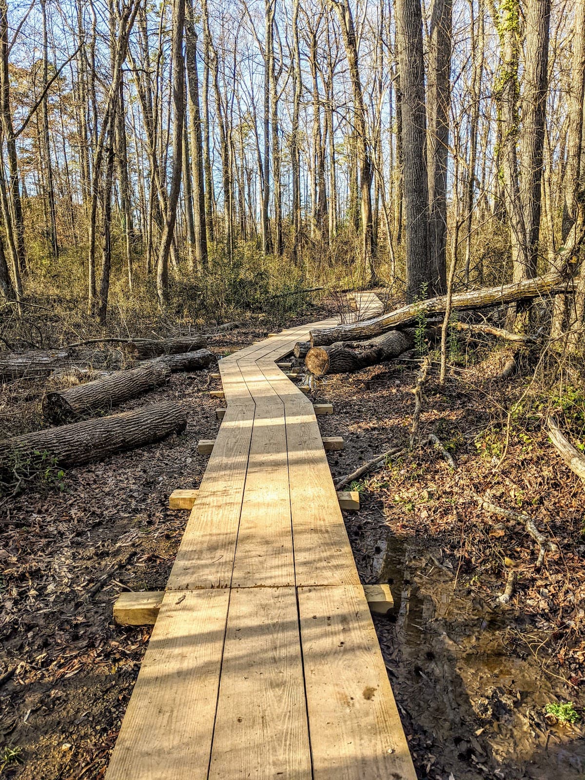 Evergreen Nature Preserve - Image 1