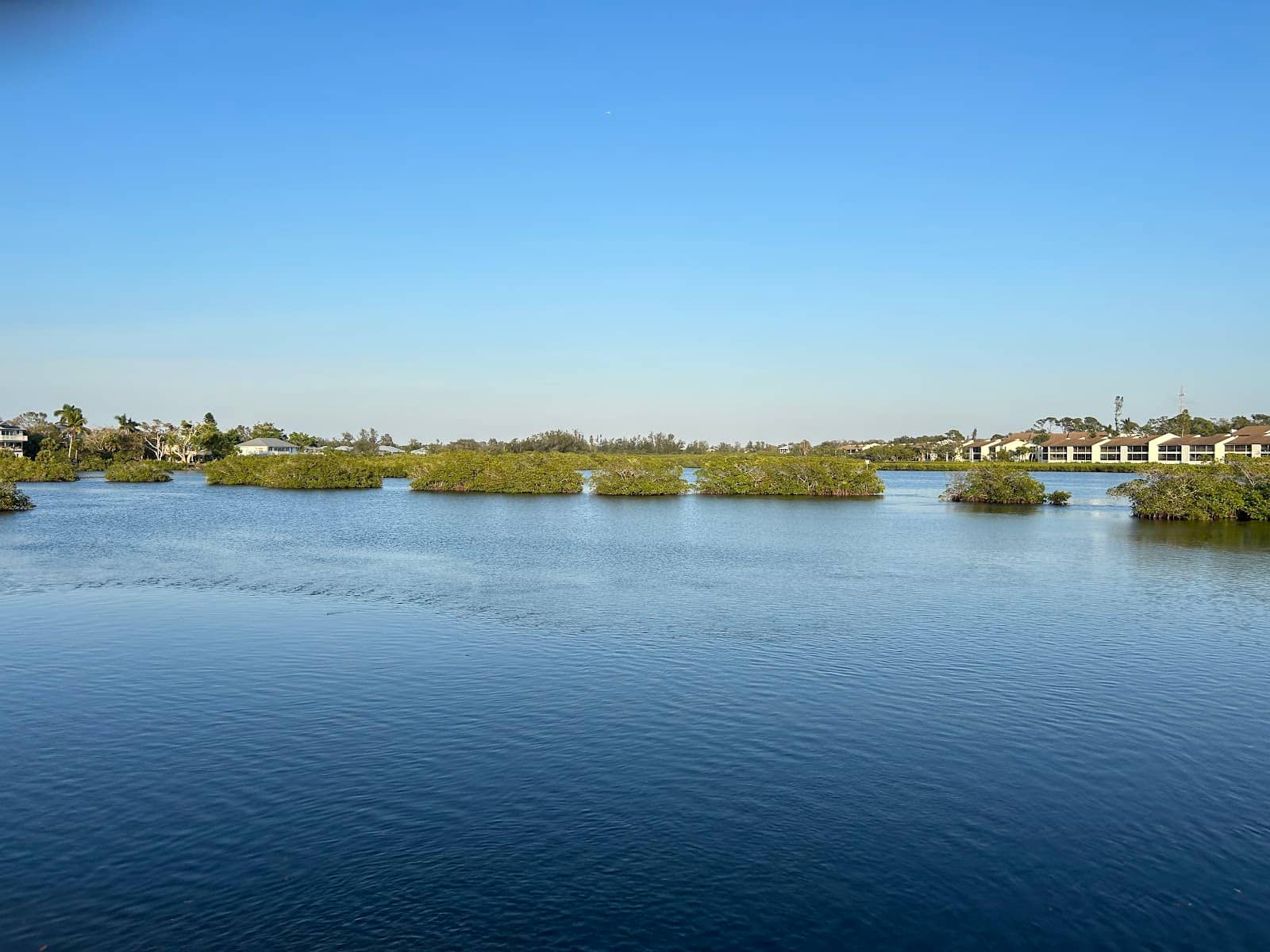Payne Park