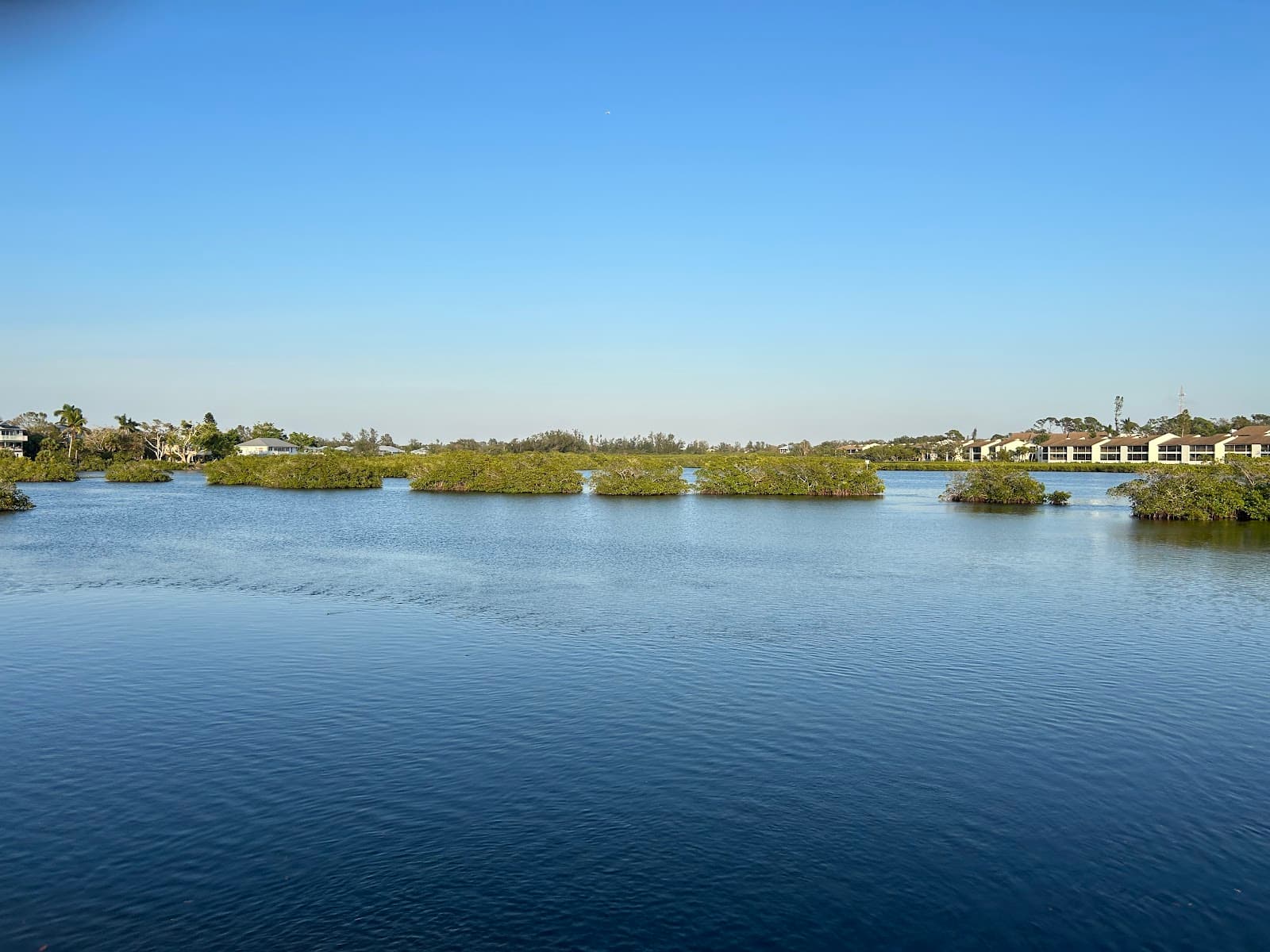 The Legacy Trail - Image 1