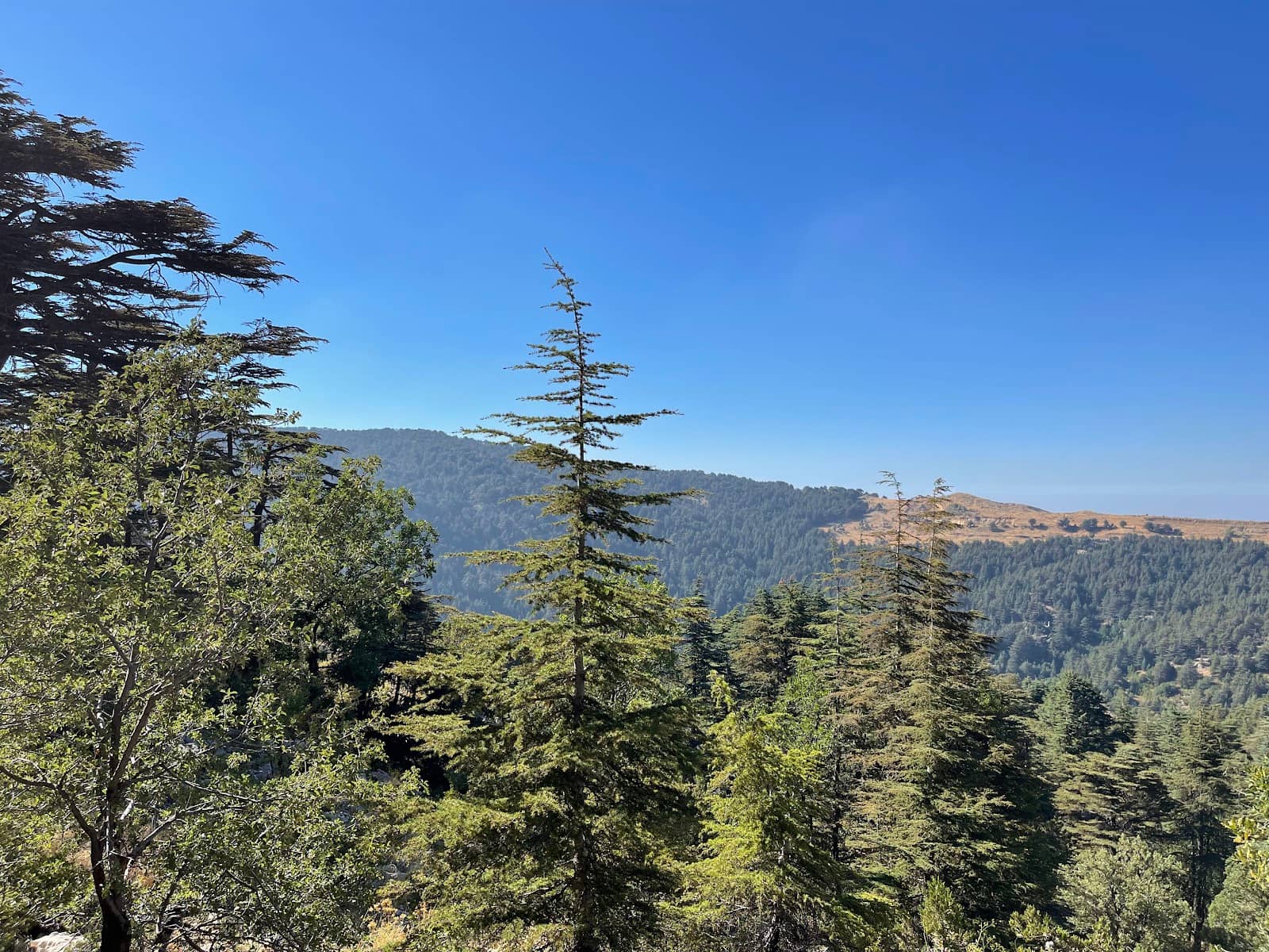 Diverse Hiking Trails