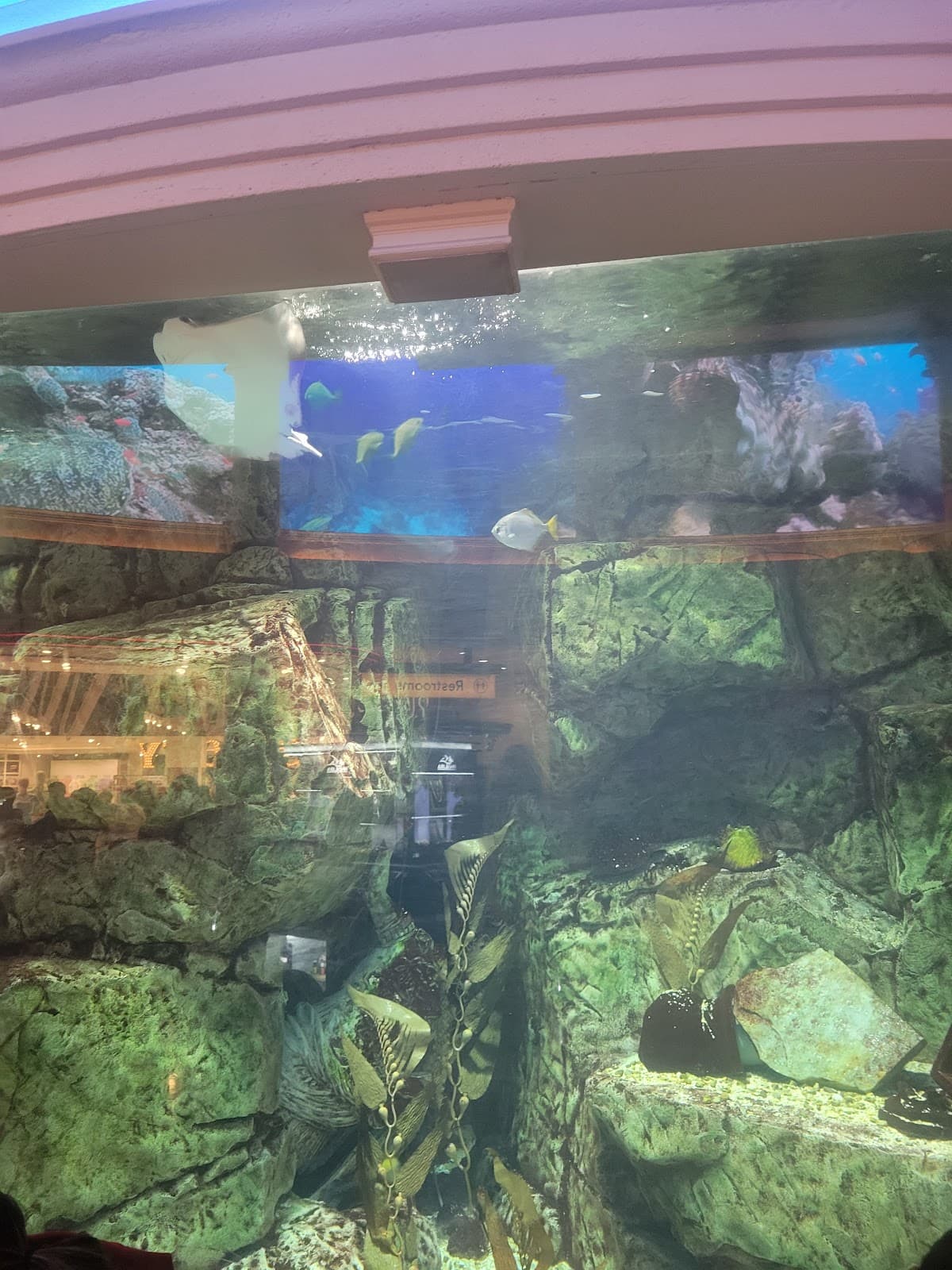 Atlantis Aquarium - Image 1