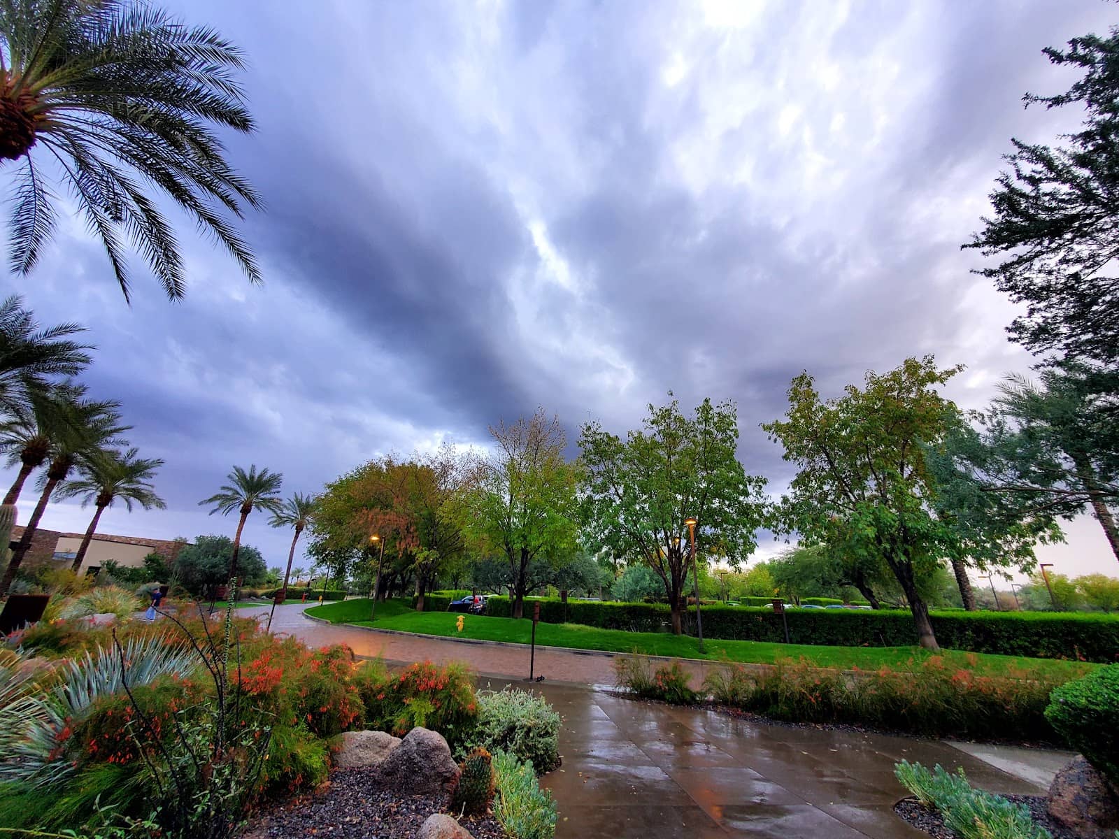 David Weekley Homes Models