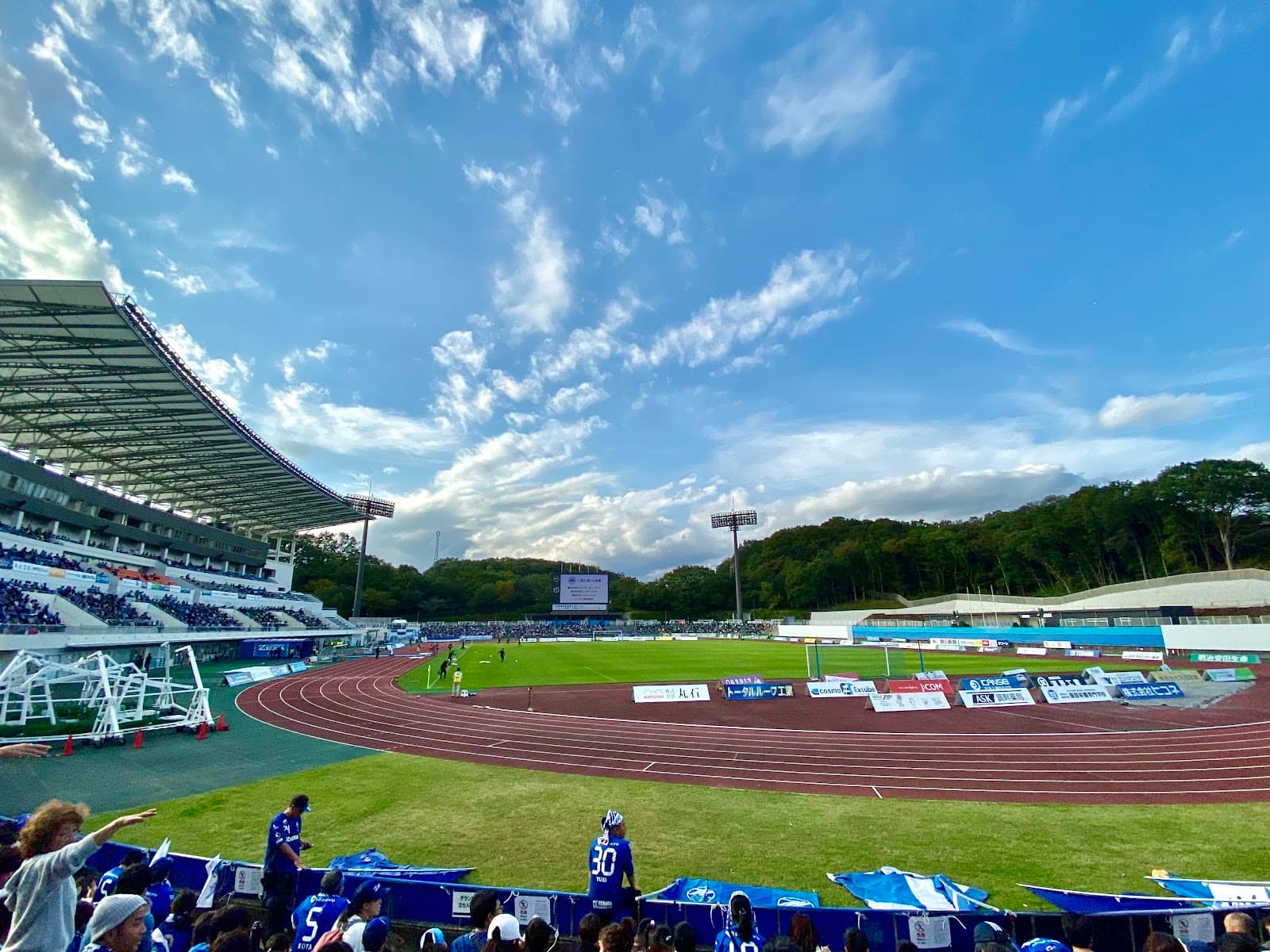 Local Food Truck Delights