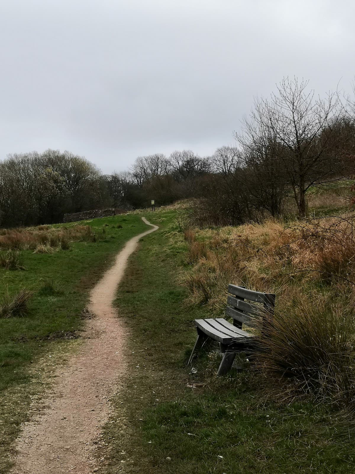 Cross Hill Quarry Nature Reserve - Image 1