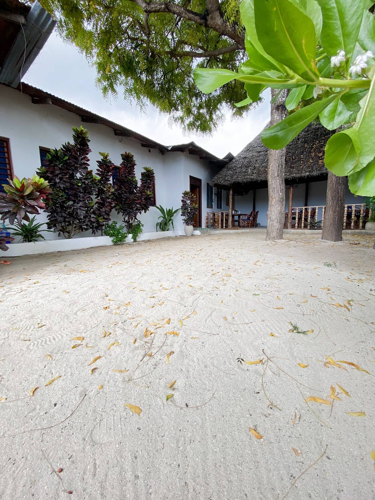 Seafood Market Restaurant