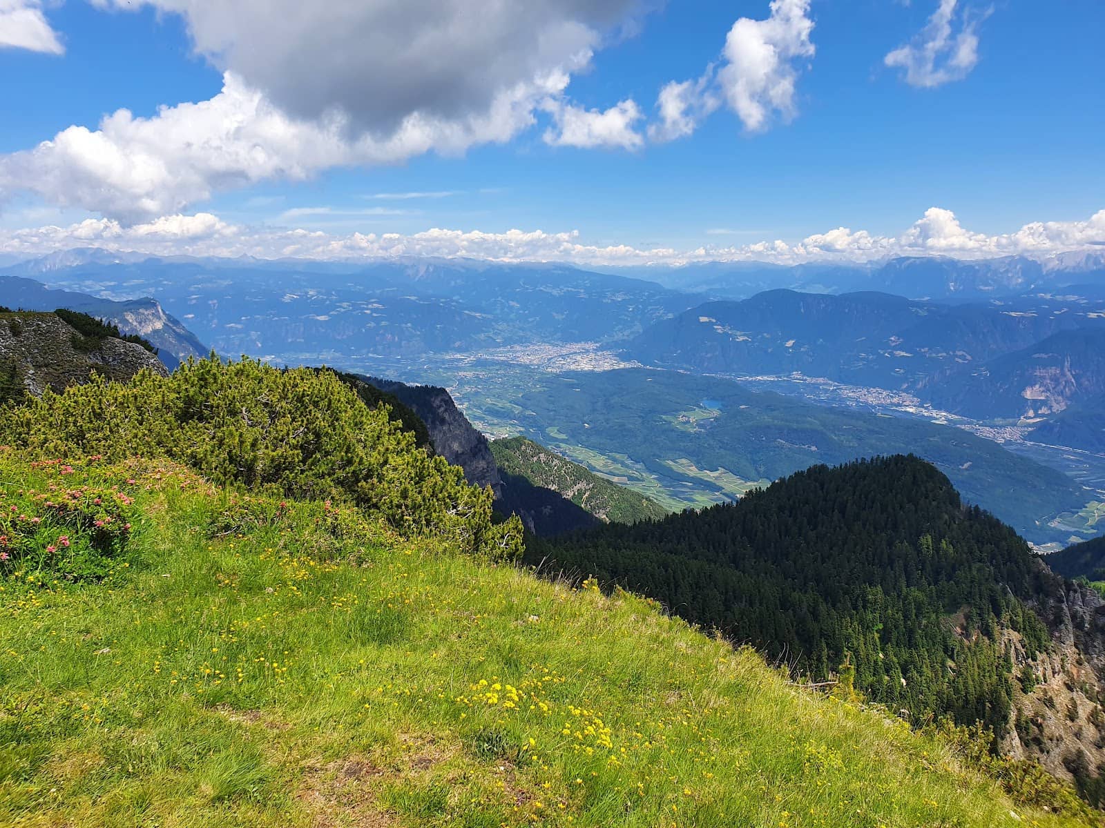 Meadow Huts (Malga)