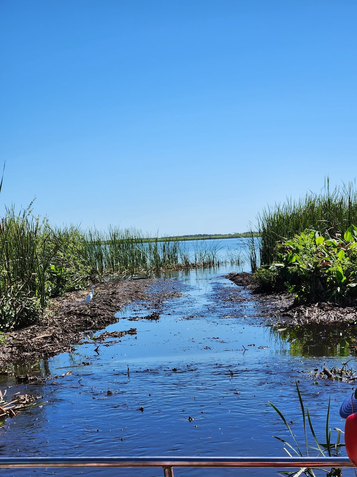 Lake Trafford Airboat Tours - Image 1