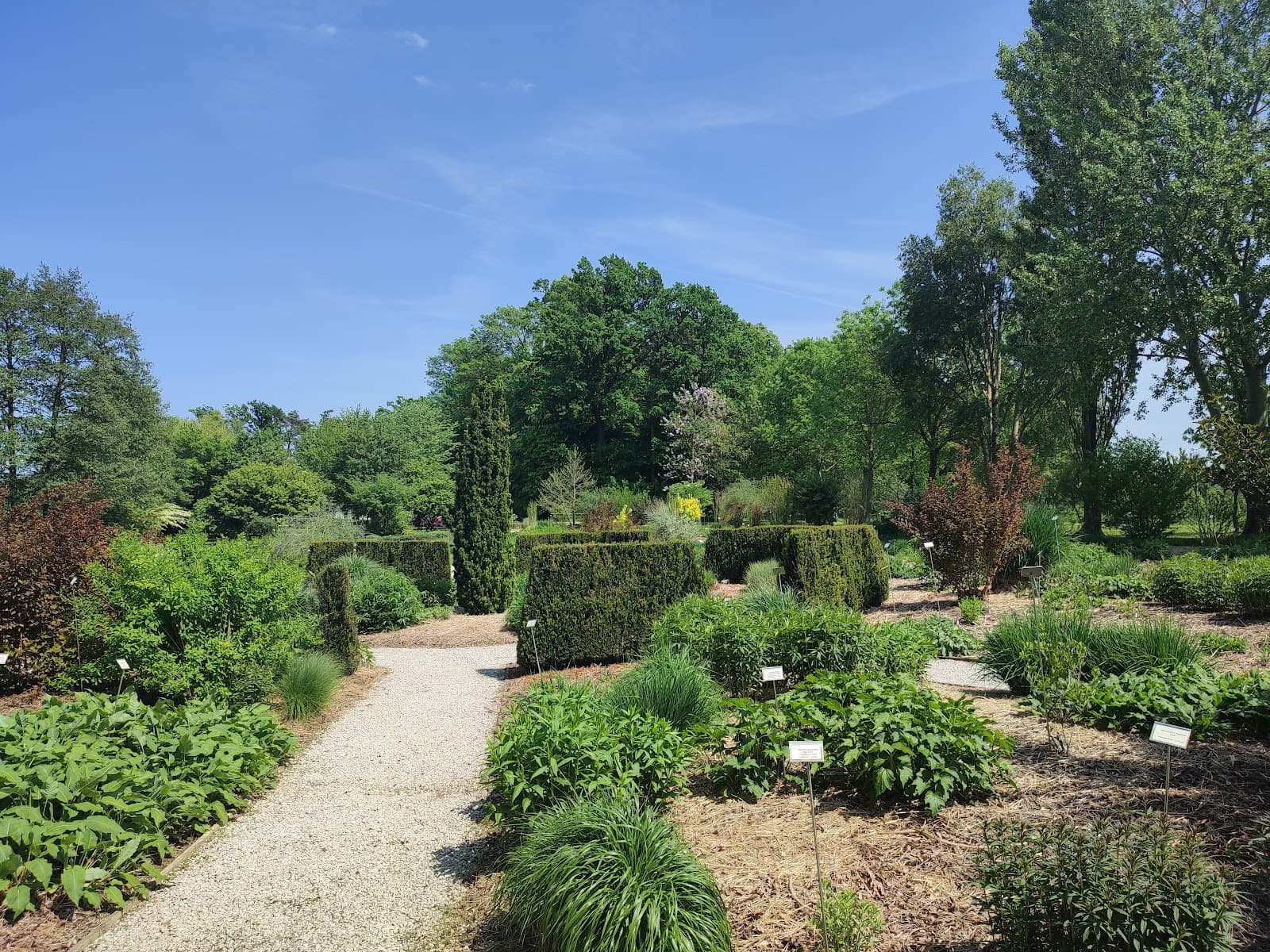 University of Maribor Botanical Garden Pivola - Image 1