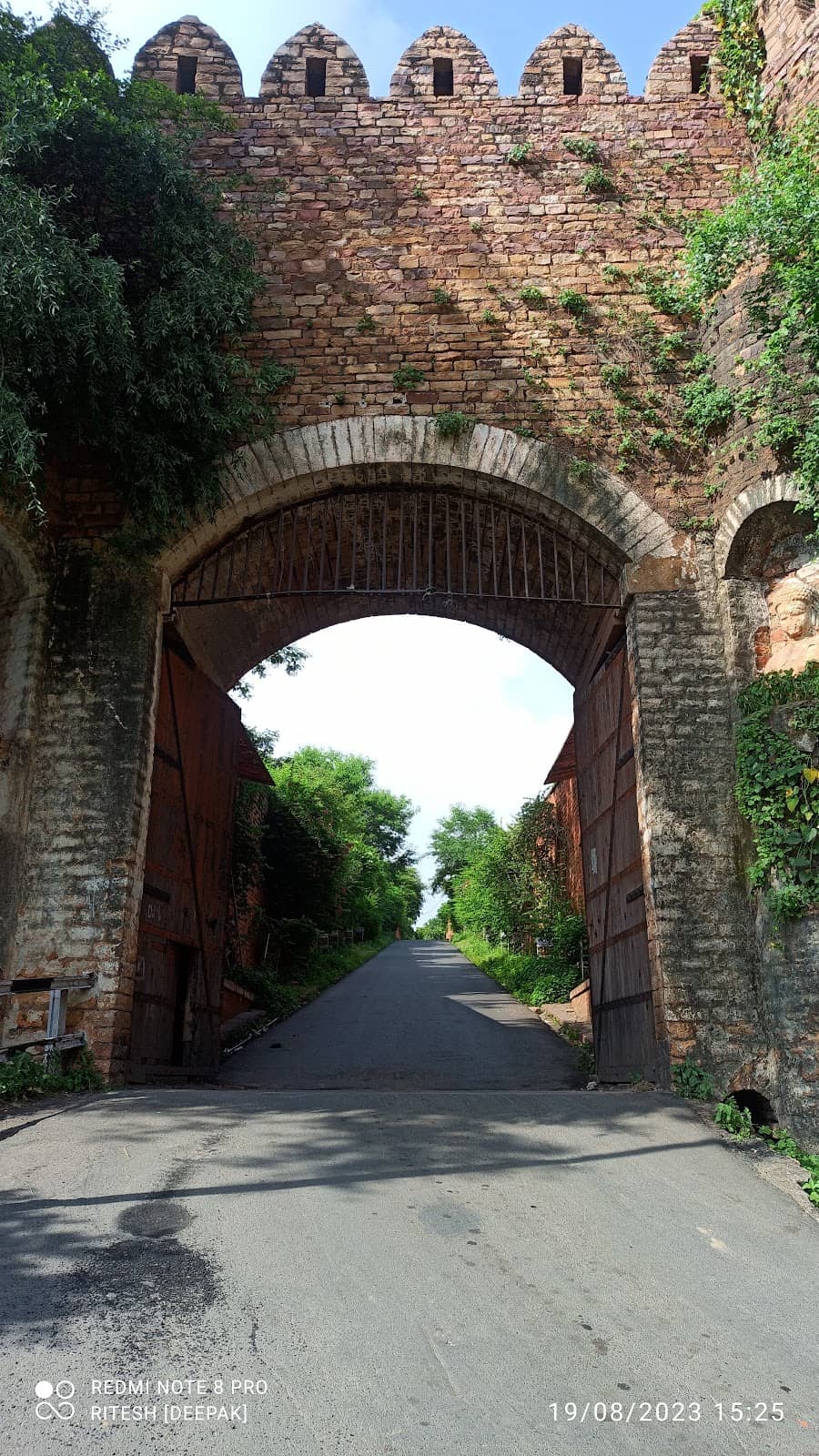 Vertical photo